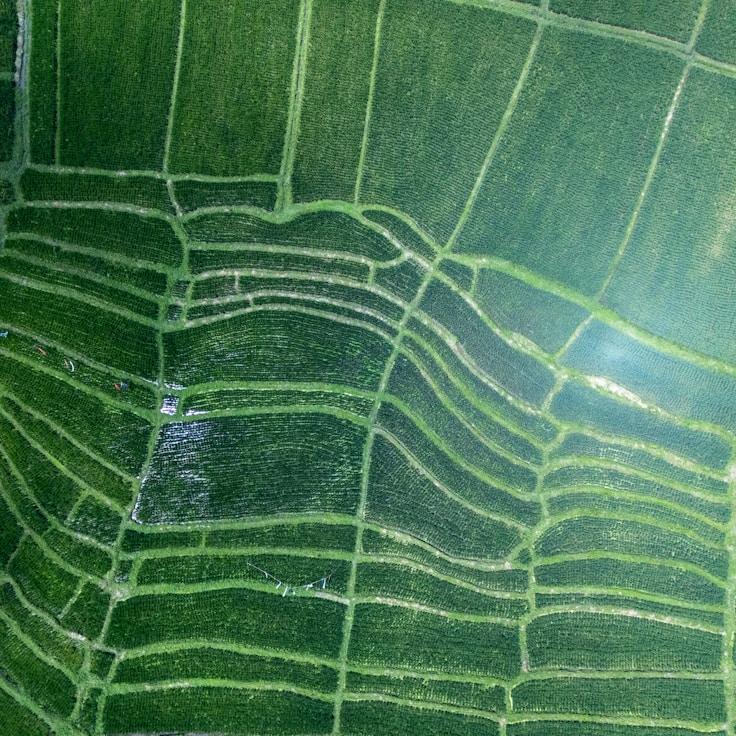 Entertainment zone at night in Netherlands